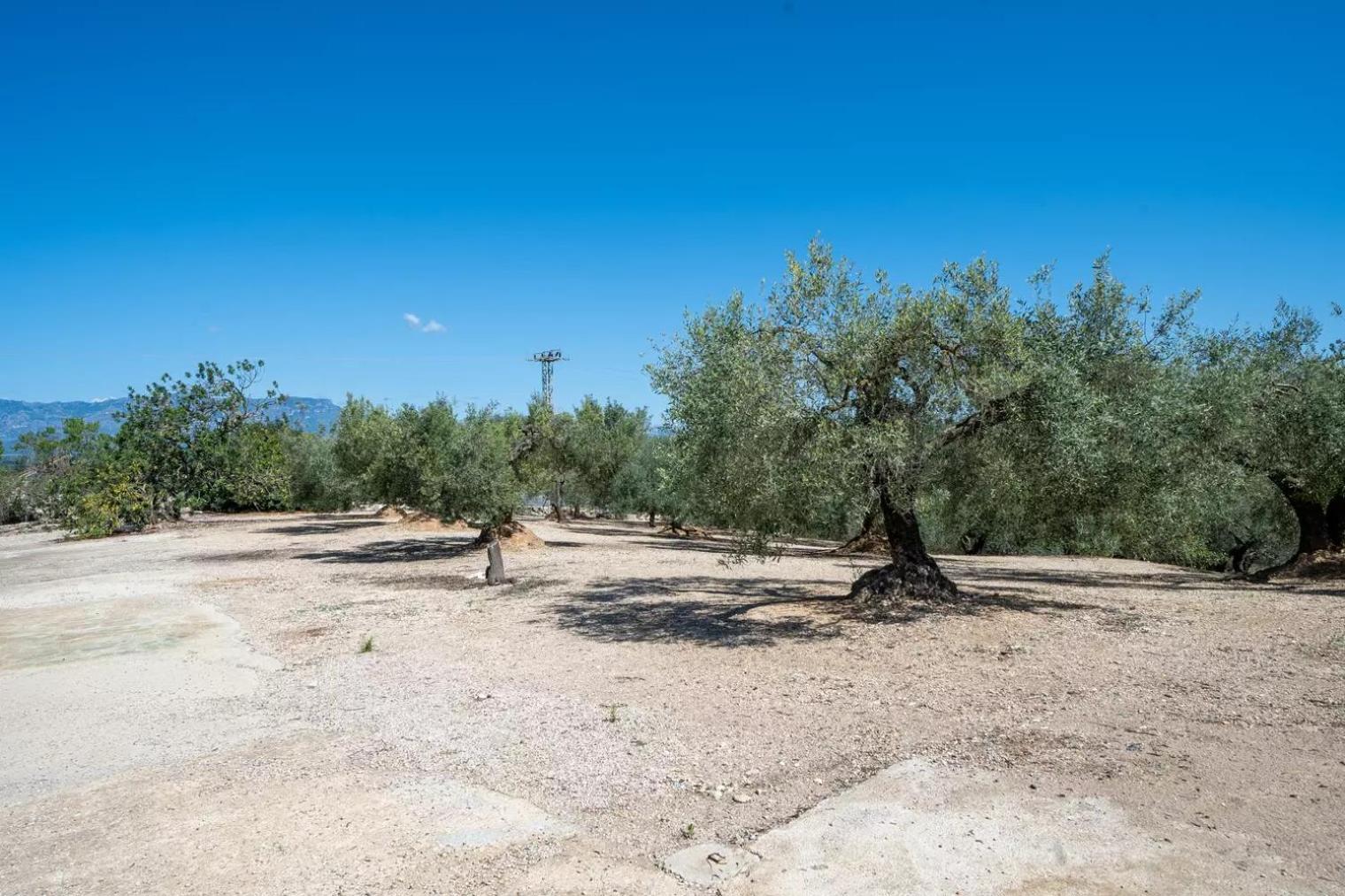 La Caseta Dels Iaios Masdenverge ภายนอก รูปภาพ